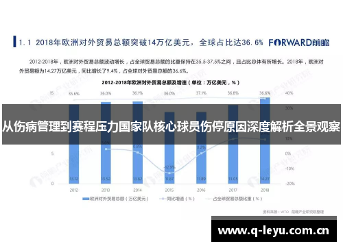 从伤病管理到赛程压力国家队核心球员伤停原因深度解析全景观察